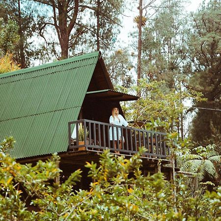 Hotel Cardinal Glamping Guatapé Exterior foto